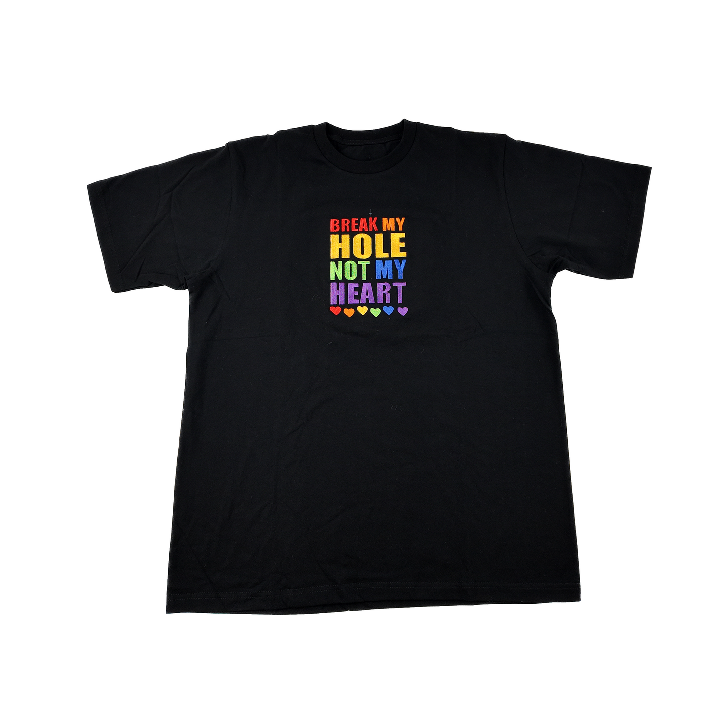 Break My Hole, Not My Heart — Embroidered Tee